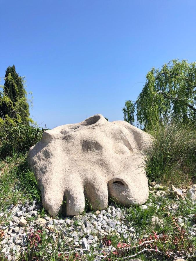 卢河畔图尔雷泰Les 4 Elements住宿加早餐旅馆 外观 照片